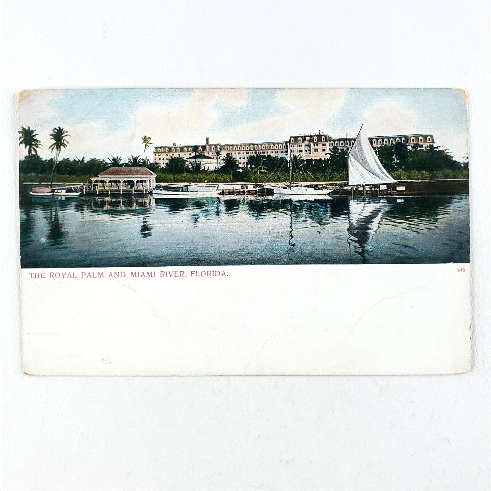 Royal Palm Hotel Miami Postcard c1905 Sailboat River Boats Marina Art Card A2509