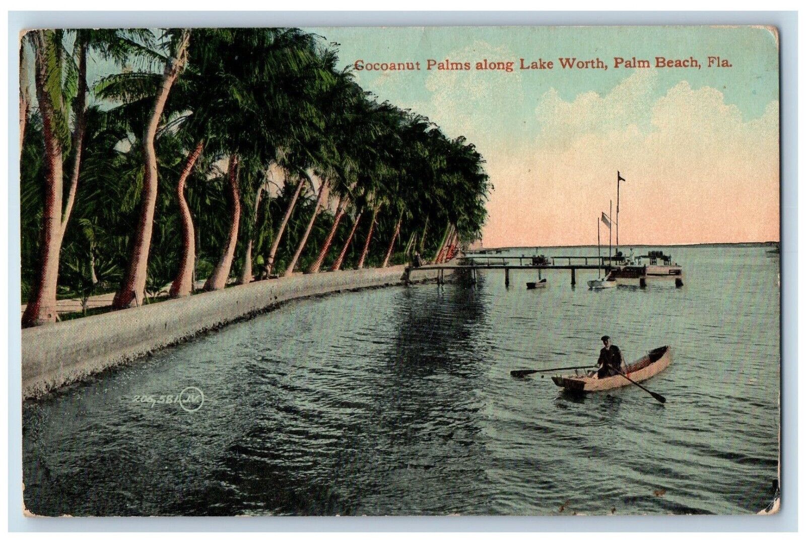 Palm Beach Florida Postcard Cocoanut Palms Along Lake Worth Canoe c1910 Vintage