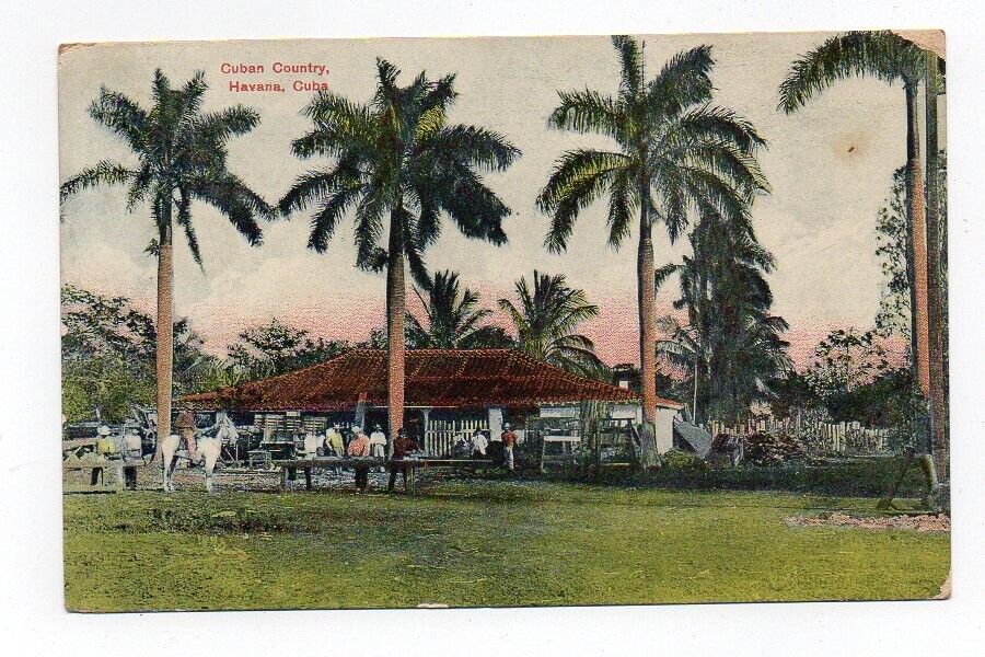 DB Postcard, Cuban Country, Havana, Cuba, 1908, to Lorain, Ohio