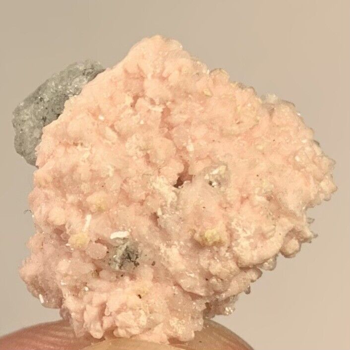 Rhodochrosite Crystals On Quartz Silverton Animas San Juan Co Colorado USA 3.4g