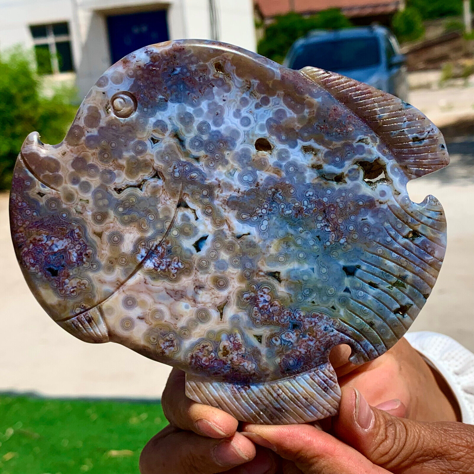 289G  Amazing Natural Ocean Jasper Crystal Carved Fish Jasper Halo Stone