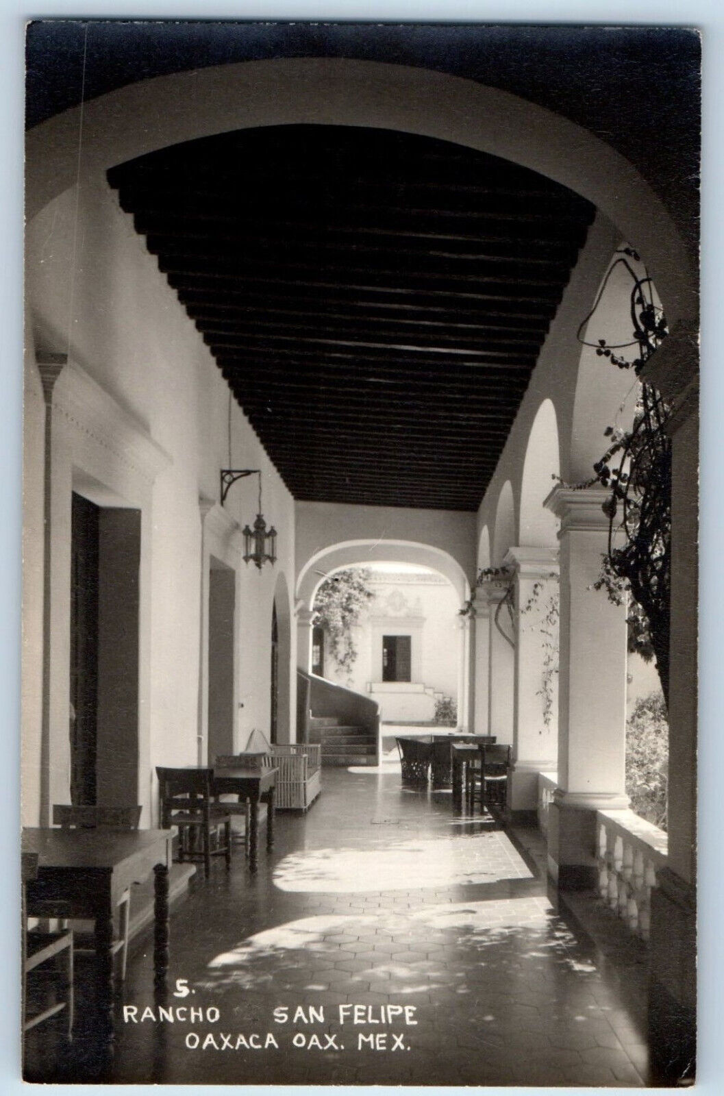 Oaxaca Oaxaca Mexico Postcard Rancho San Felipe c1940's Vintage RPPC Photo