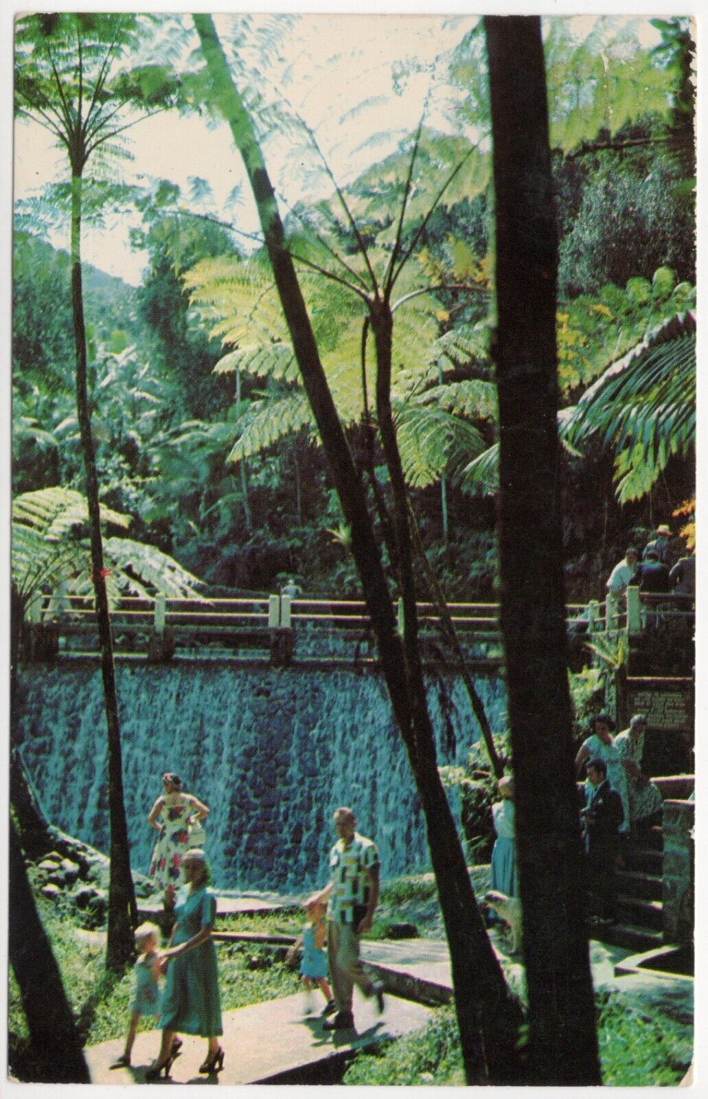 El Yunque Puerto Rico Posted 1967 Chrome Postcard