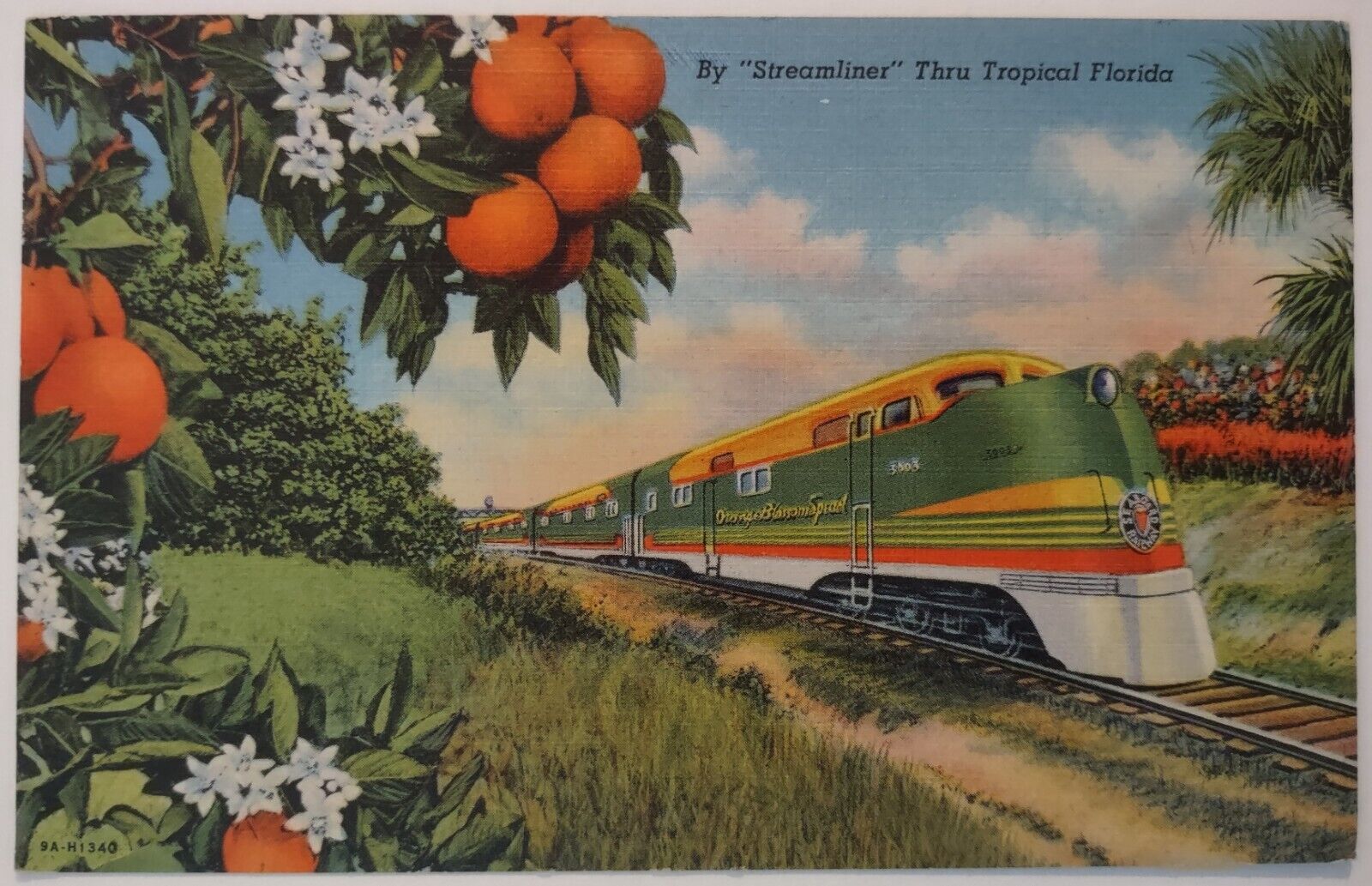 Vintage Postcard Orange Blossom Special Florida Train Railroad AA50