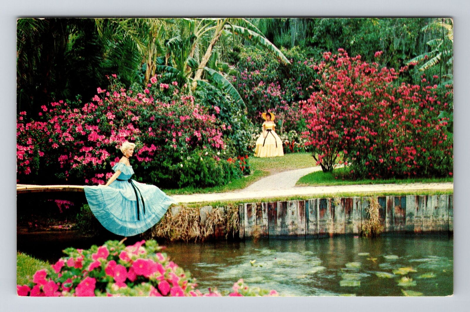 Miami FL -Florida Beautiful Southern Belles in Cypress Gardens Vintage Postcard