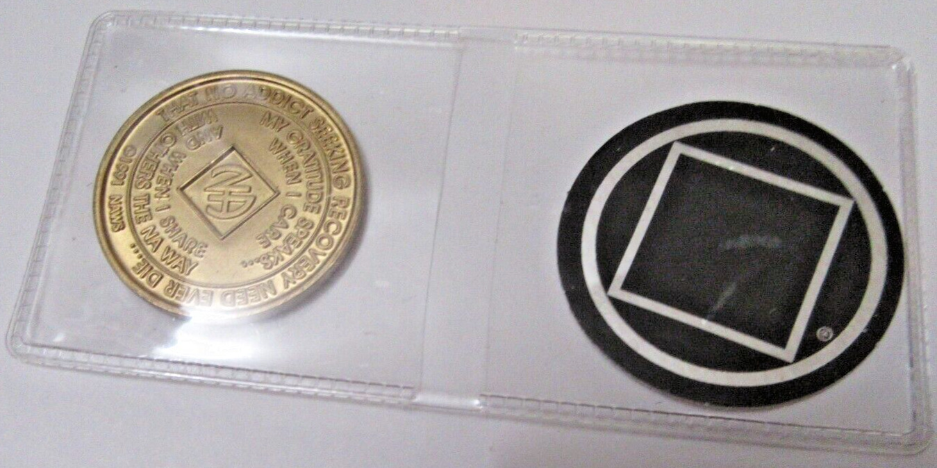 Narcotics Anonymous NA 48 Year Clean Bronze Medallion Recovery Coin Chip Token