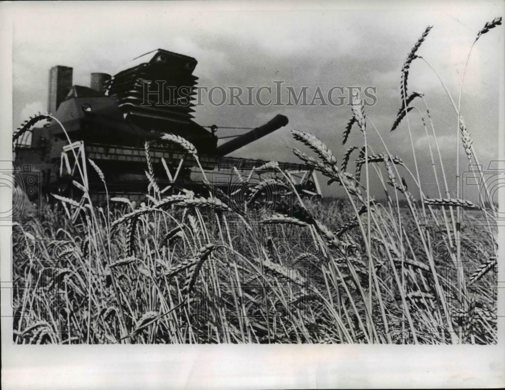 1979 Press Photo Russia, Farming - cvb19272