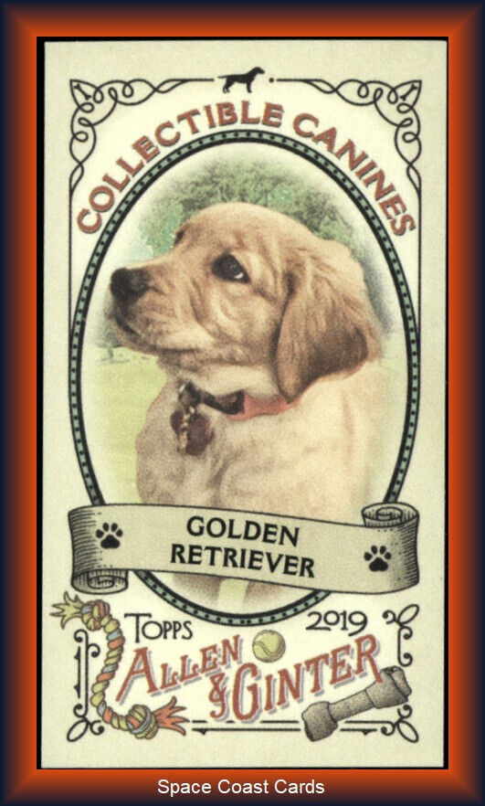 2019 Topps Allen & Ginter Collectible Canines Mini #CC-6 Golden Retriever
