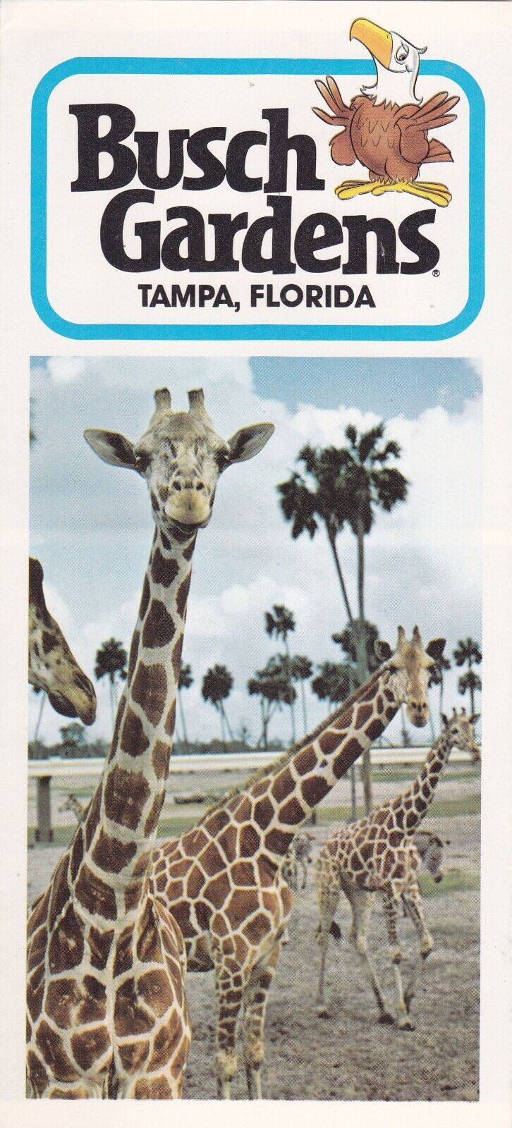 1970\'s Busch Gardens Tampa Brochure