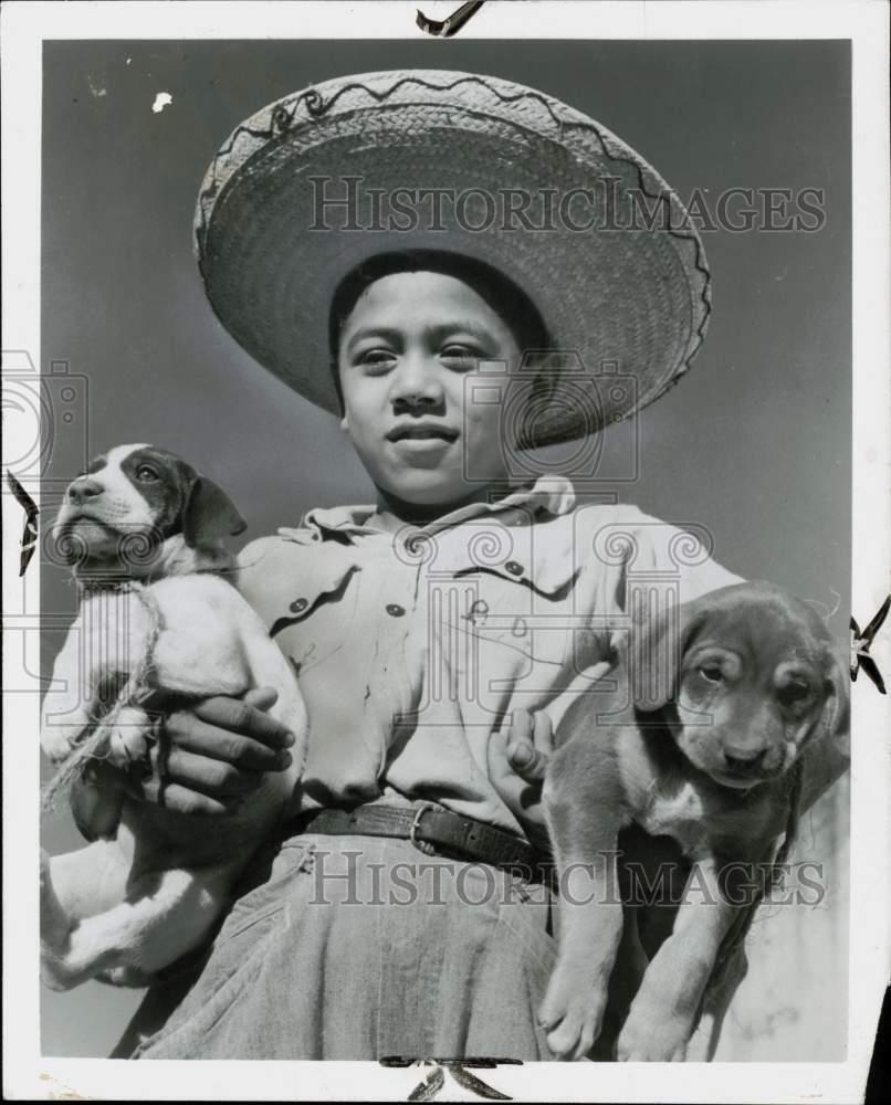 1964 Press Photo Boy poses with his puppies in Mexico City - afa09155