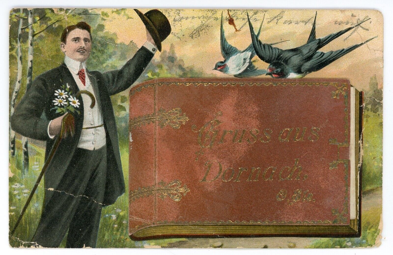 Gruss Aus Dornach Germany Mechanical Postcard Blue Birds Photo Album 1908