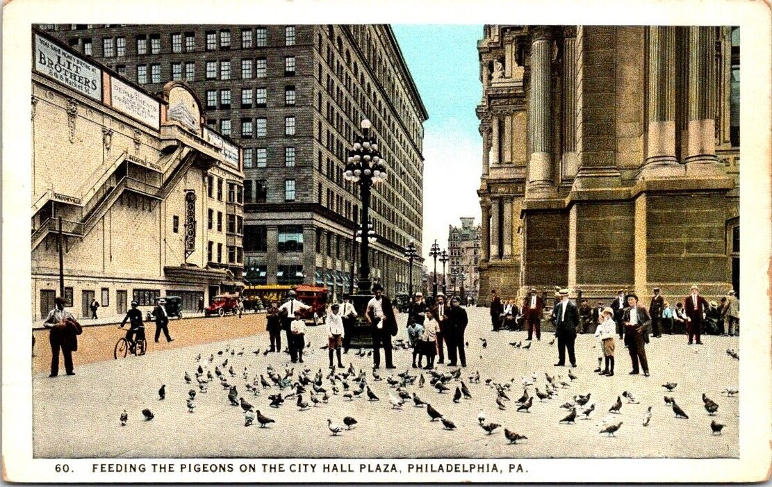 WB Postcard~Philadelphia Pa~Feeding Pigeons~City Hall Plaza~Lit Brothers~c1919