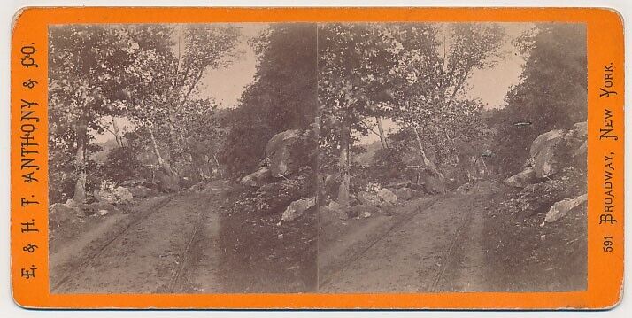 NORTH CAROLINA SV - French Broad River Road - Anthony 1870s