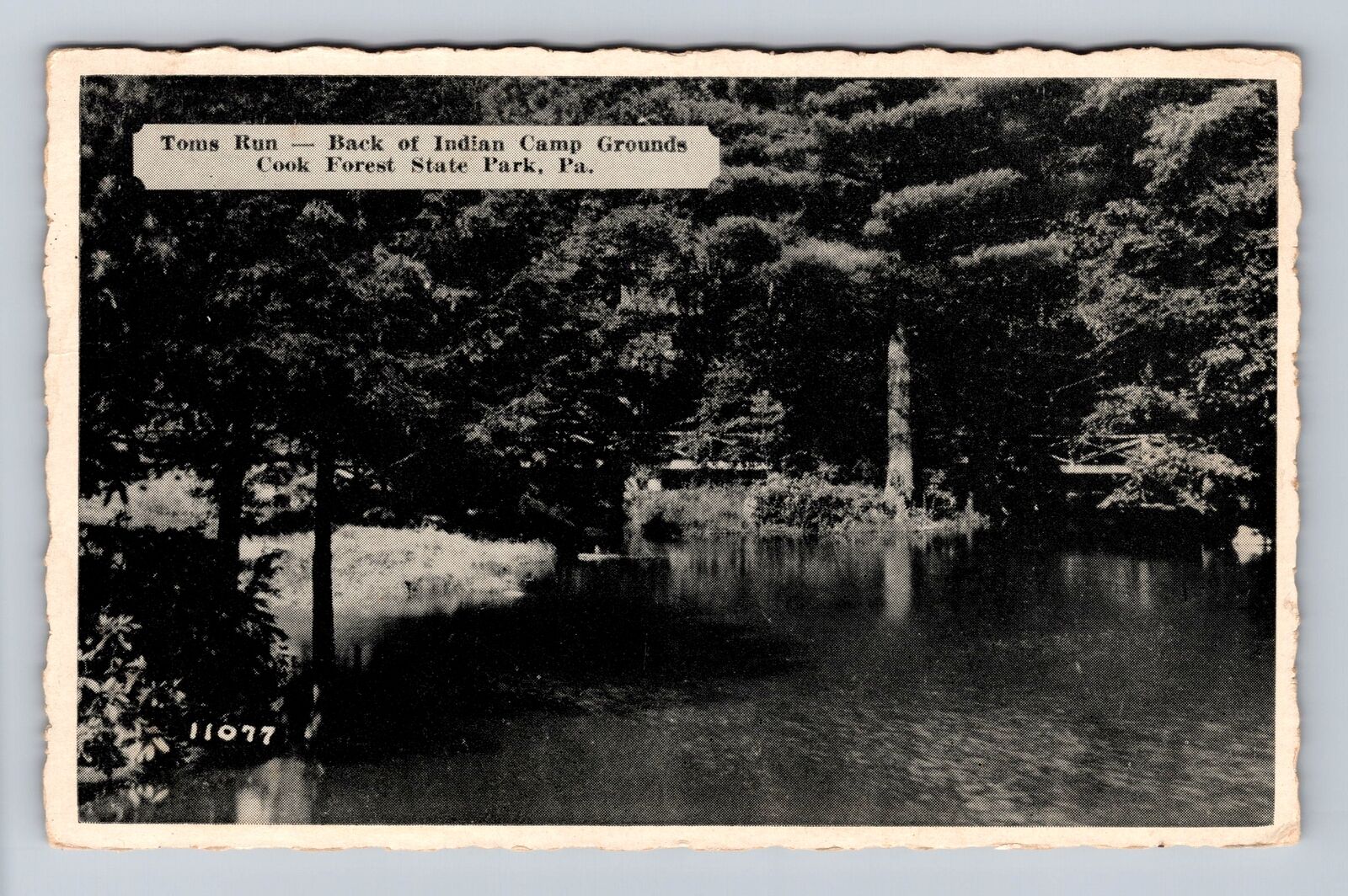 Cook Forest State Park PA-Pennsylvania, Toms Run, Camp Ground, Vintage Postcard