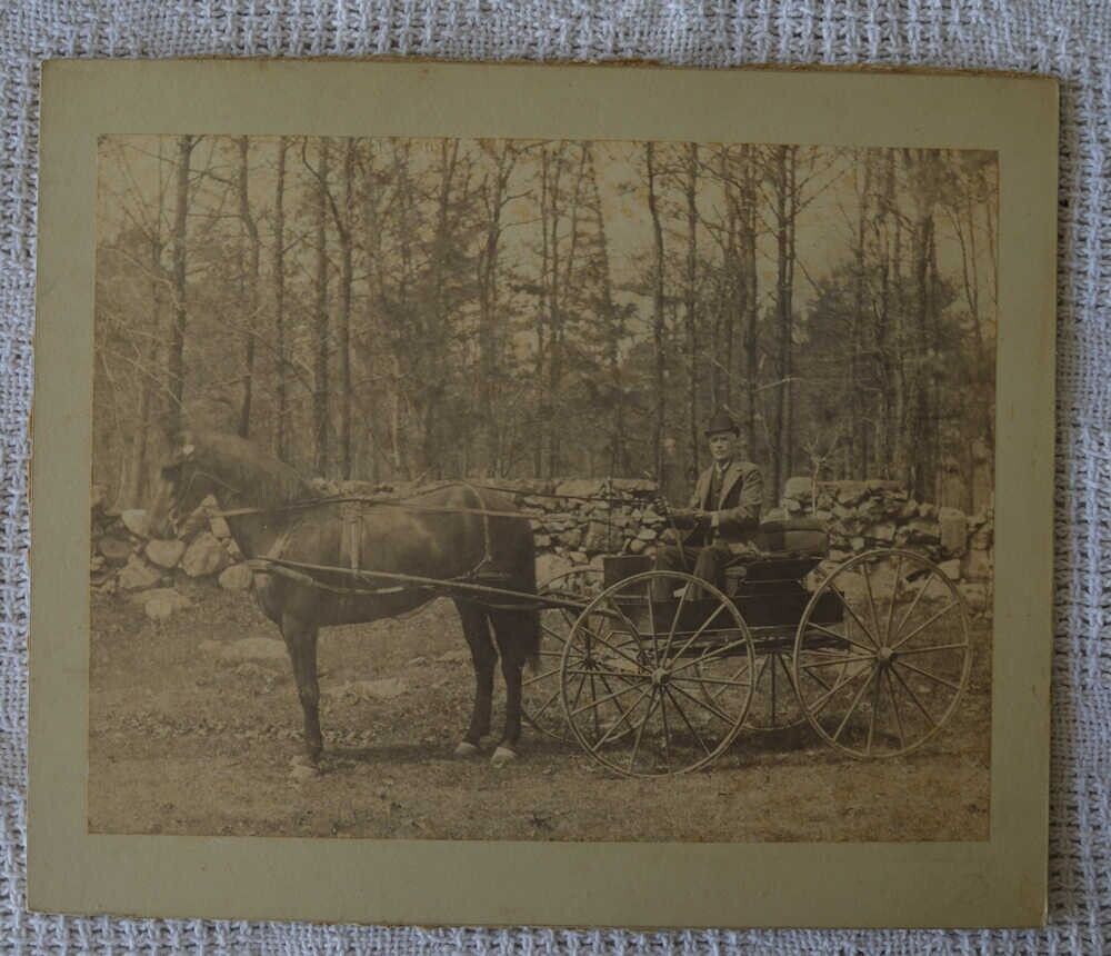 1885 CABINET PHOTO MAN w/SINGLE HORSE+BUGGY WAGON A M GARDNER EAST MILTON MASS