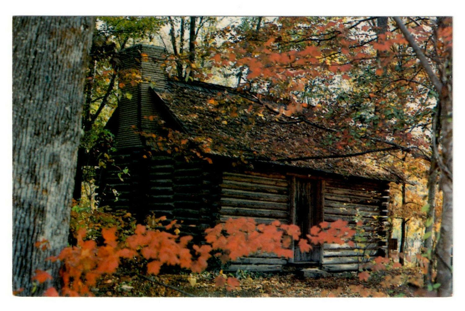 The Original Cabin Martha Berry Ancestral Home Oak Hill, Georgia Chrome UnPosted