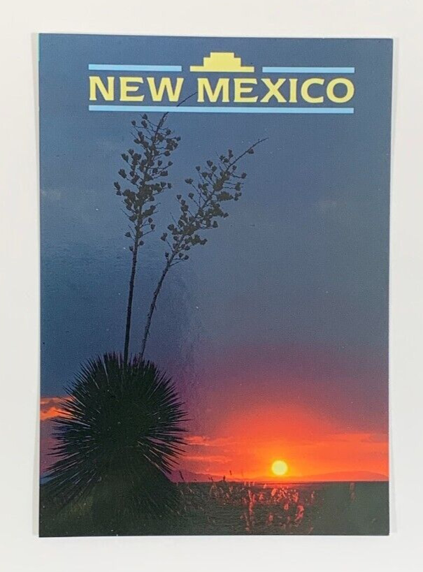 The Land of Enchantment Sunset in New Mexico Postcard Unposted