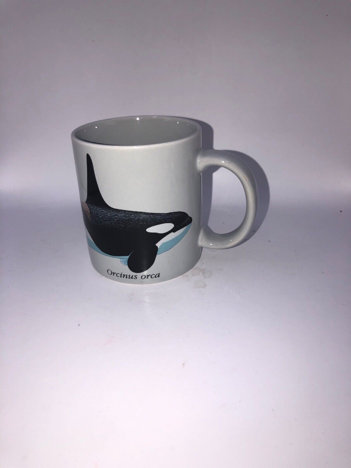 1988 Killer Whale Orcinus Orca California Academy of Sciences Coffee Mug Tea Cup