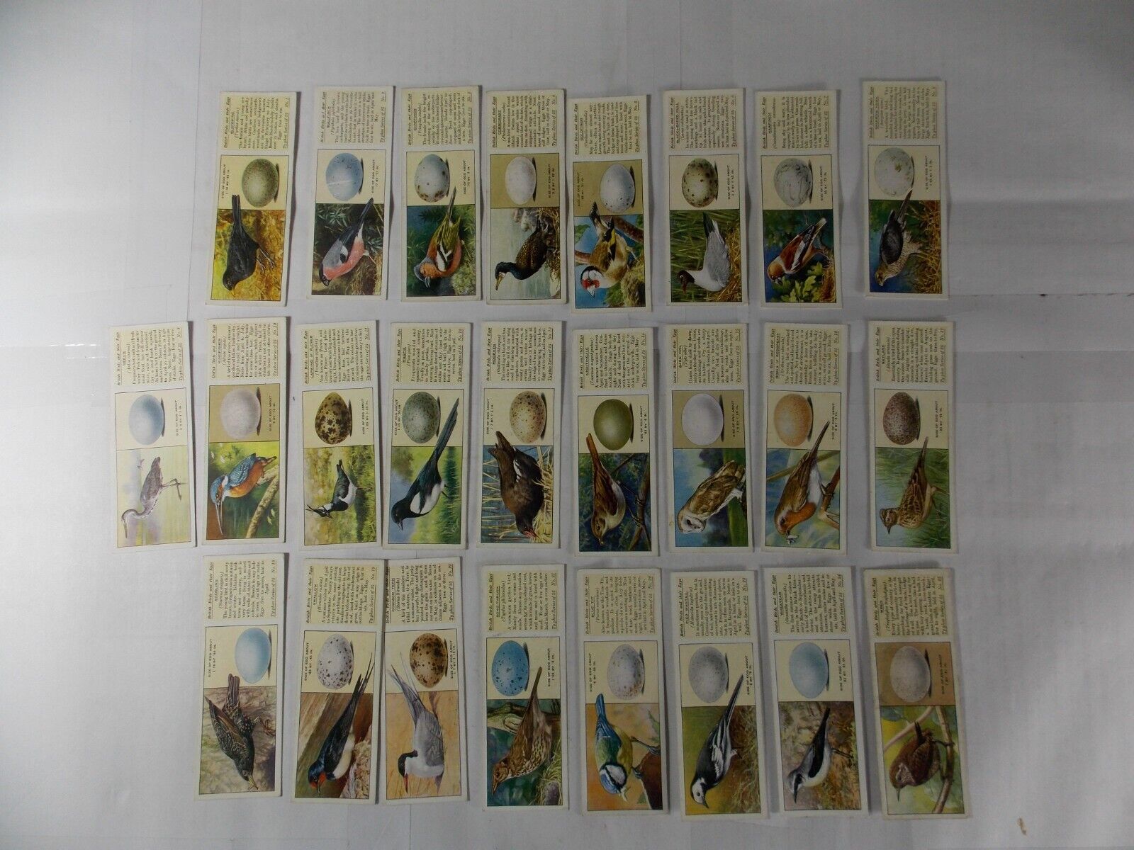 Typhoo Tea Cards British Birds & Their Eggs 1936 Complete Set 25