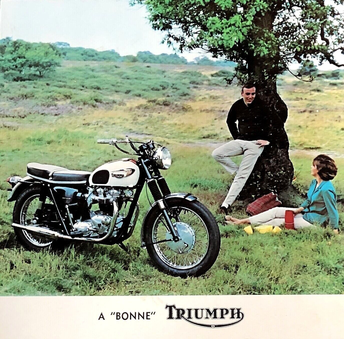 RARE ORIGINAL 1966 TRIUMPH MOTORCYCLE PHOTO POSTCARD BONNEVILLE 650 T120R