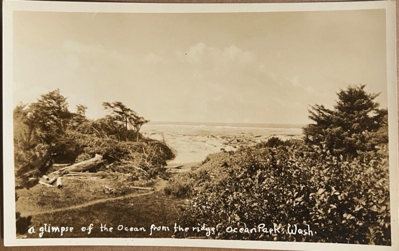 RPPC Ocean Park View from Ridge Washington Real Photo Postcard c1930