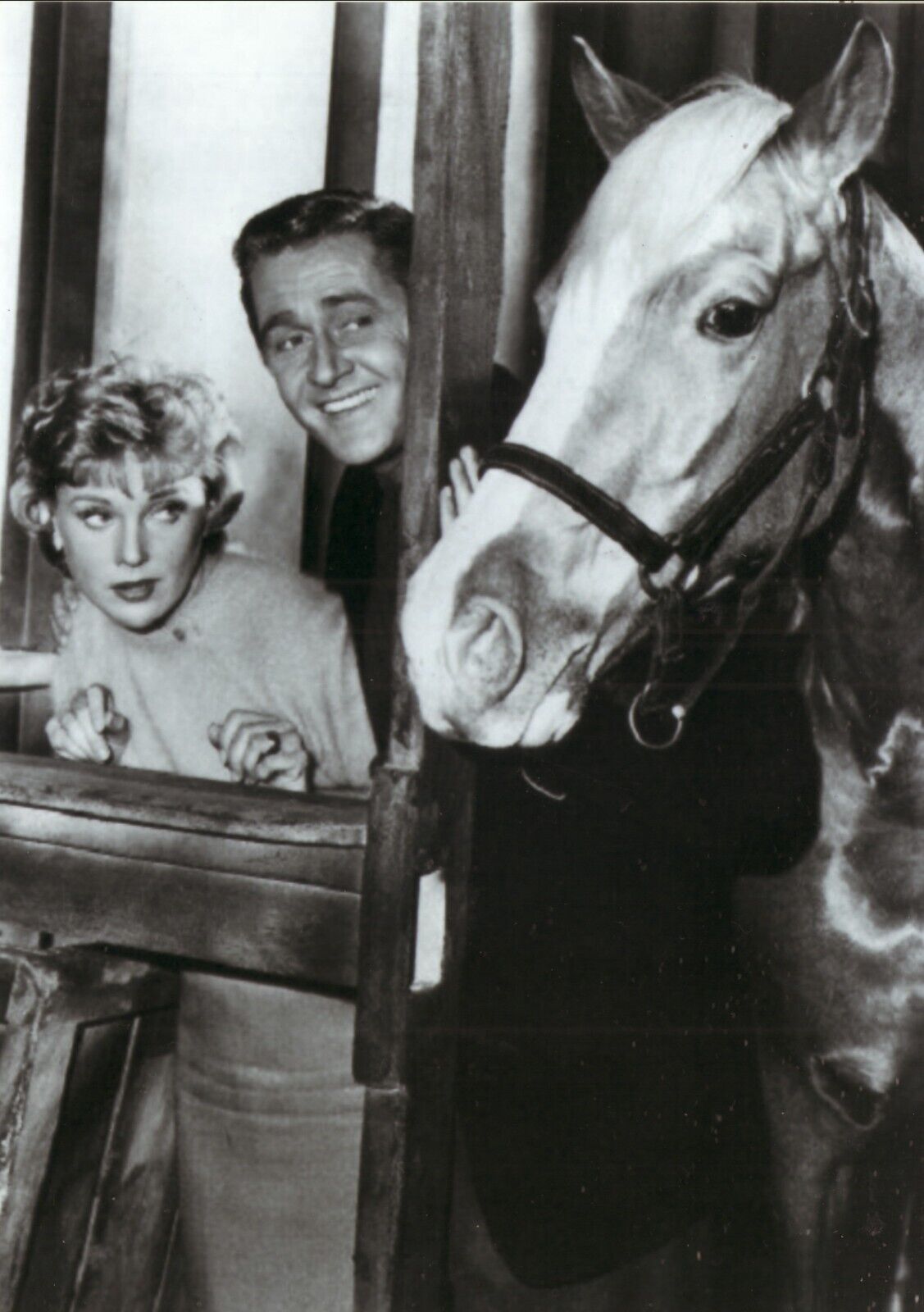 Mr Ed--Alan Young--Connie Hines--Glossy 5x7 B&W Photo