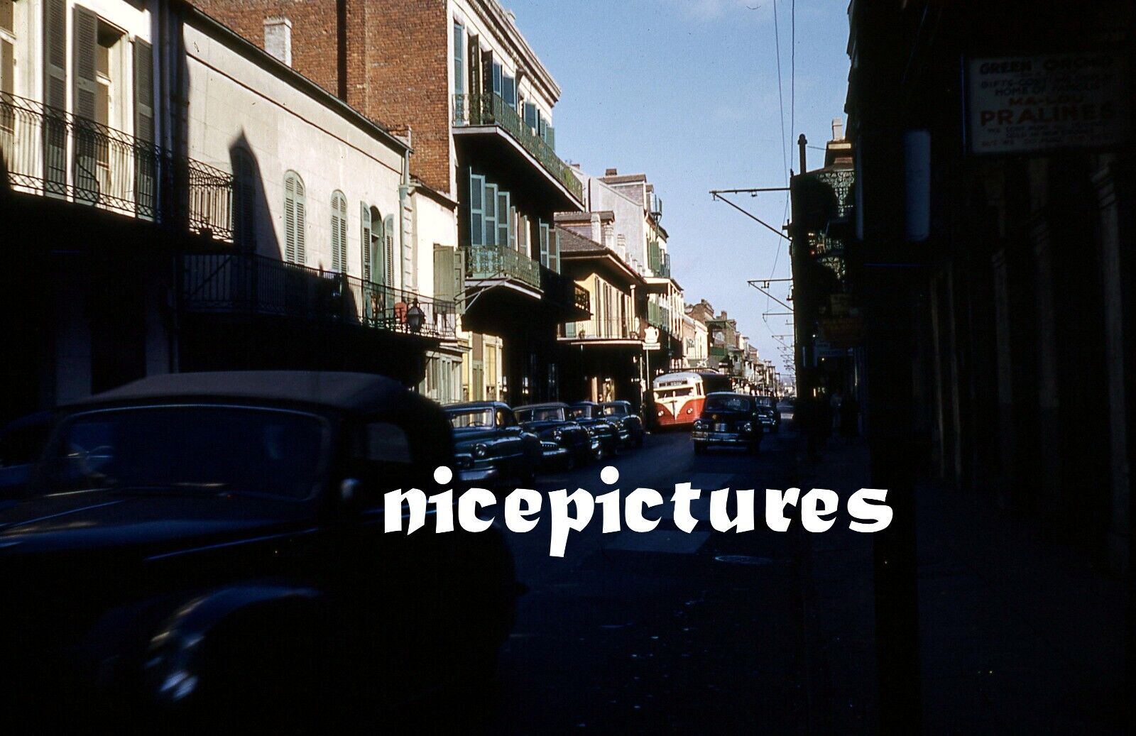 New Orleans Cars & City Bus Street scene  1950s Red Border Kodachrome slide