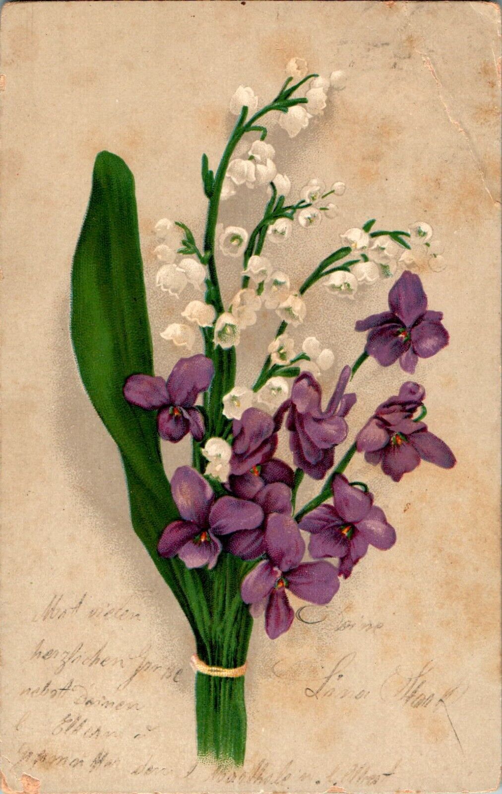 Beautiful Violets and White Flowers ca 1905 Postcard
