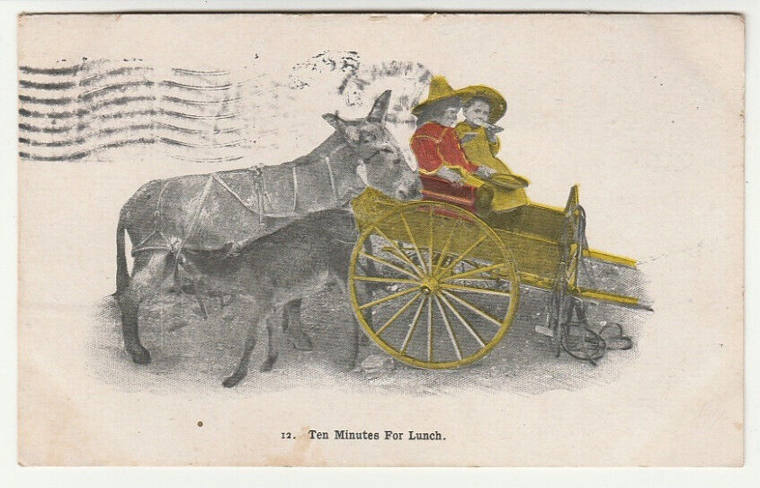 July 8 1908 Ten Minutes For Lunch Children Eating Baby Burro Drinking Postcard