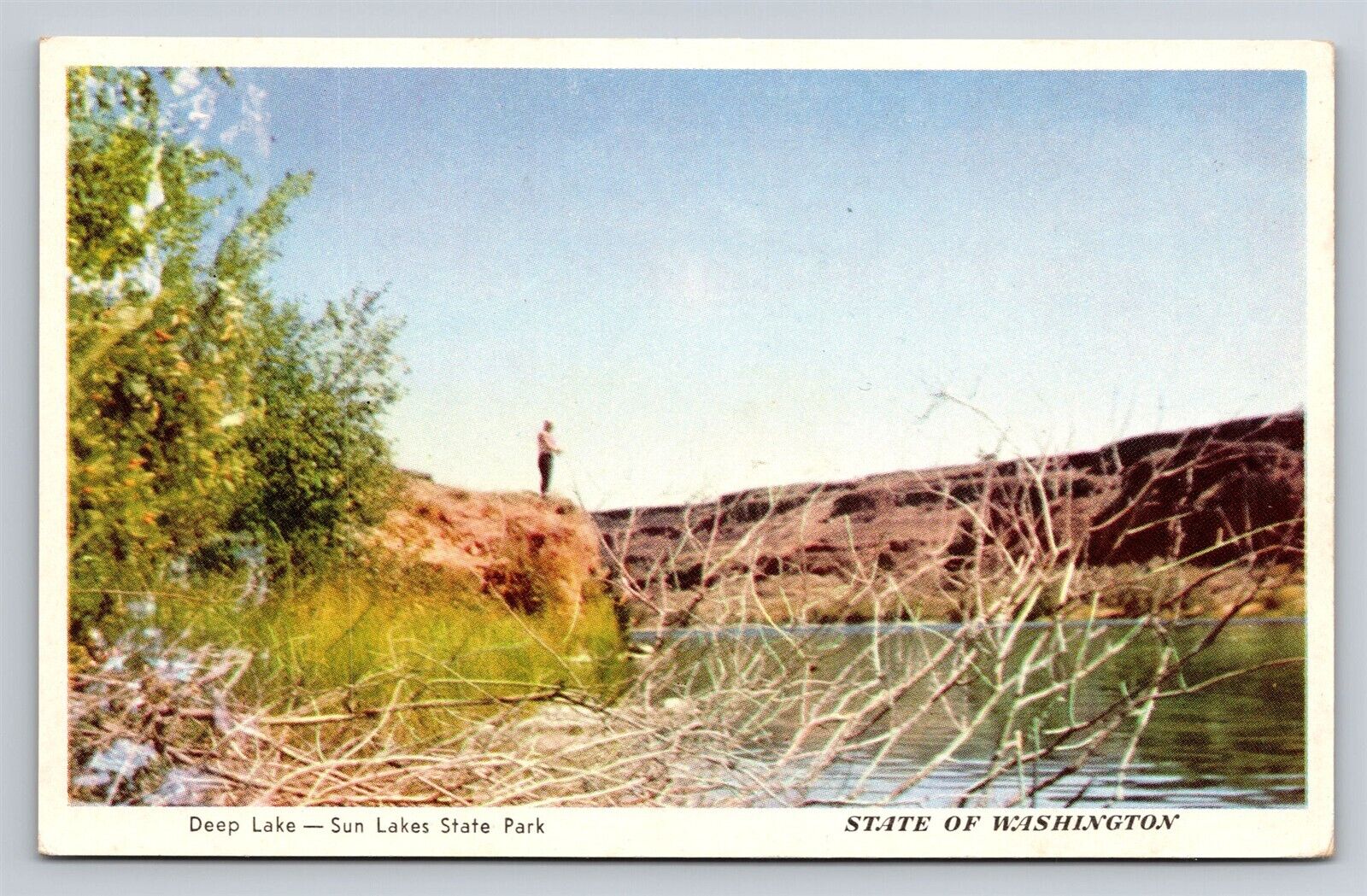 Greetings from Washington State Deep Lake Sun Lakes State Park Vintage Postcard 