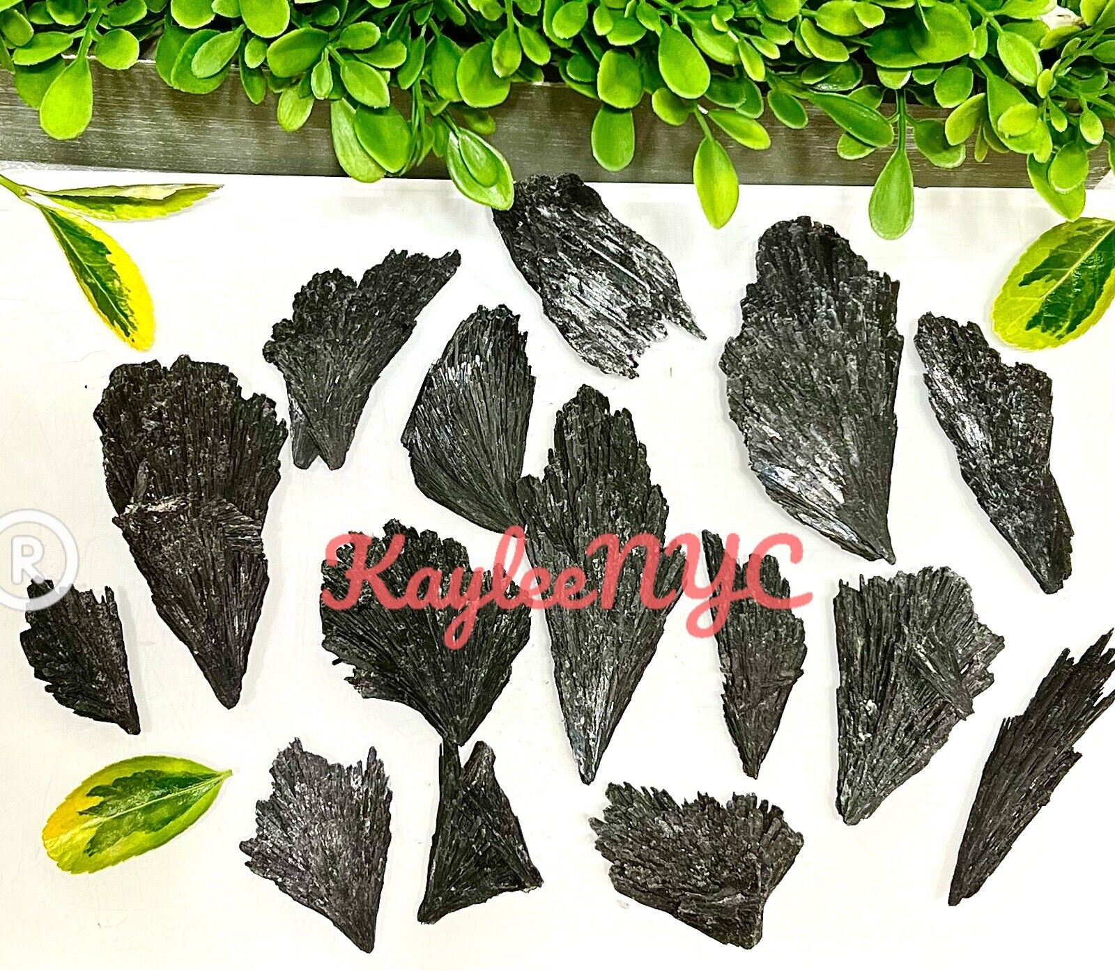 Wholesale Lot 1 Lb Natural Black Kyanite Raw Crystal Healing Energy