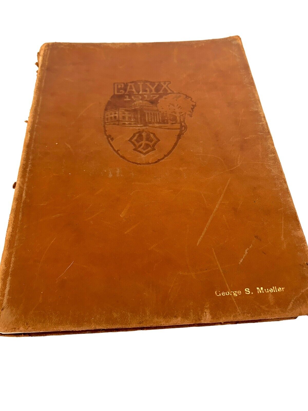 The Calyx 1917 Washington and Lee University Yearbook Virginia