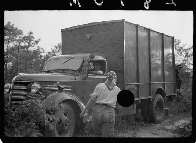 Cranberry pickers from Philadelphia Burlington Co New Jersey 1930s Photo 2
