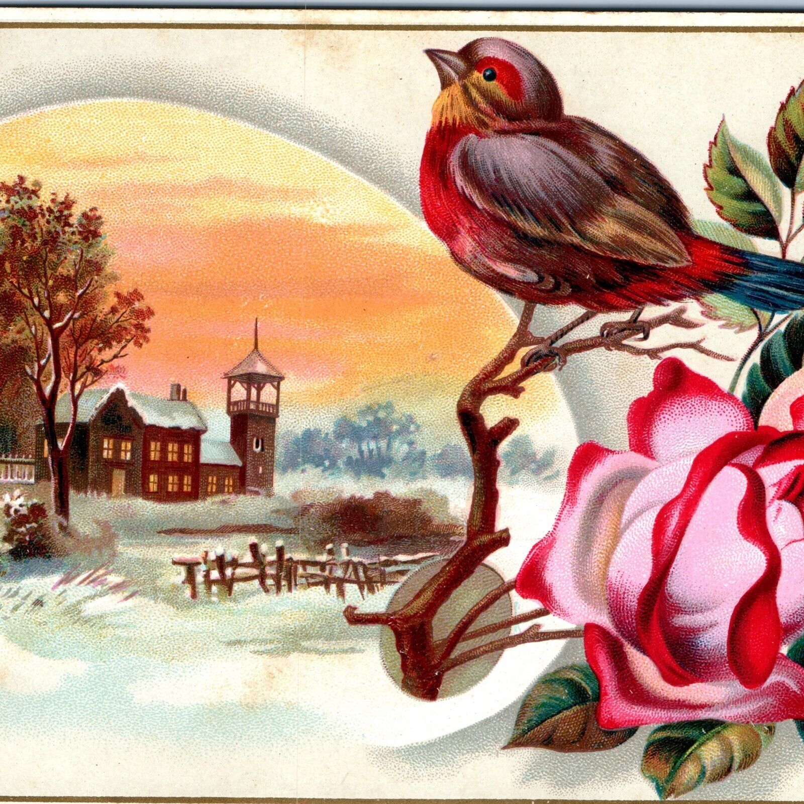 c1880s Lovely Colorful Bird Church Litho Stock 6\