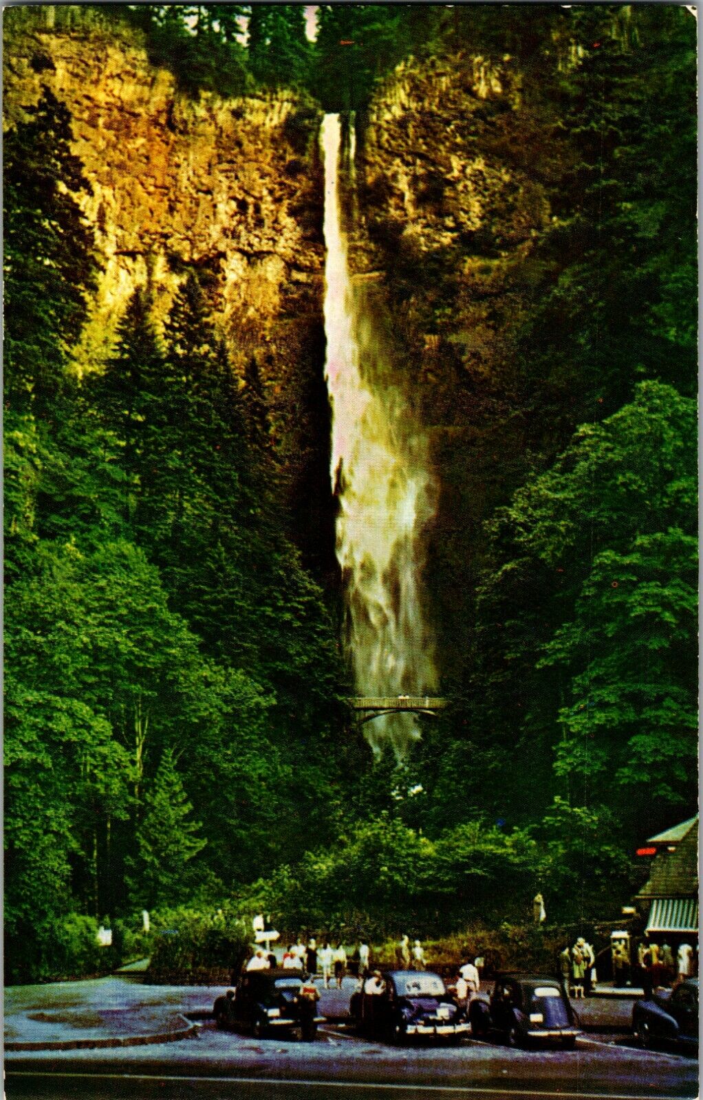 Postcard OR  Multnomah Falls Columbia Gorge Classic Cars, Oregon