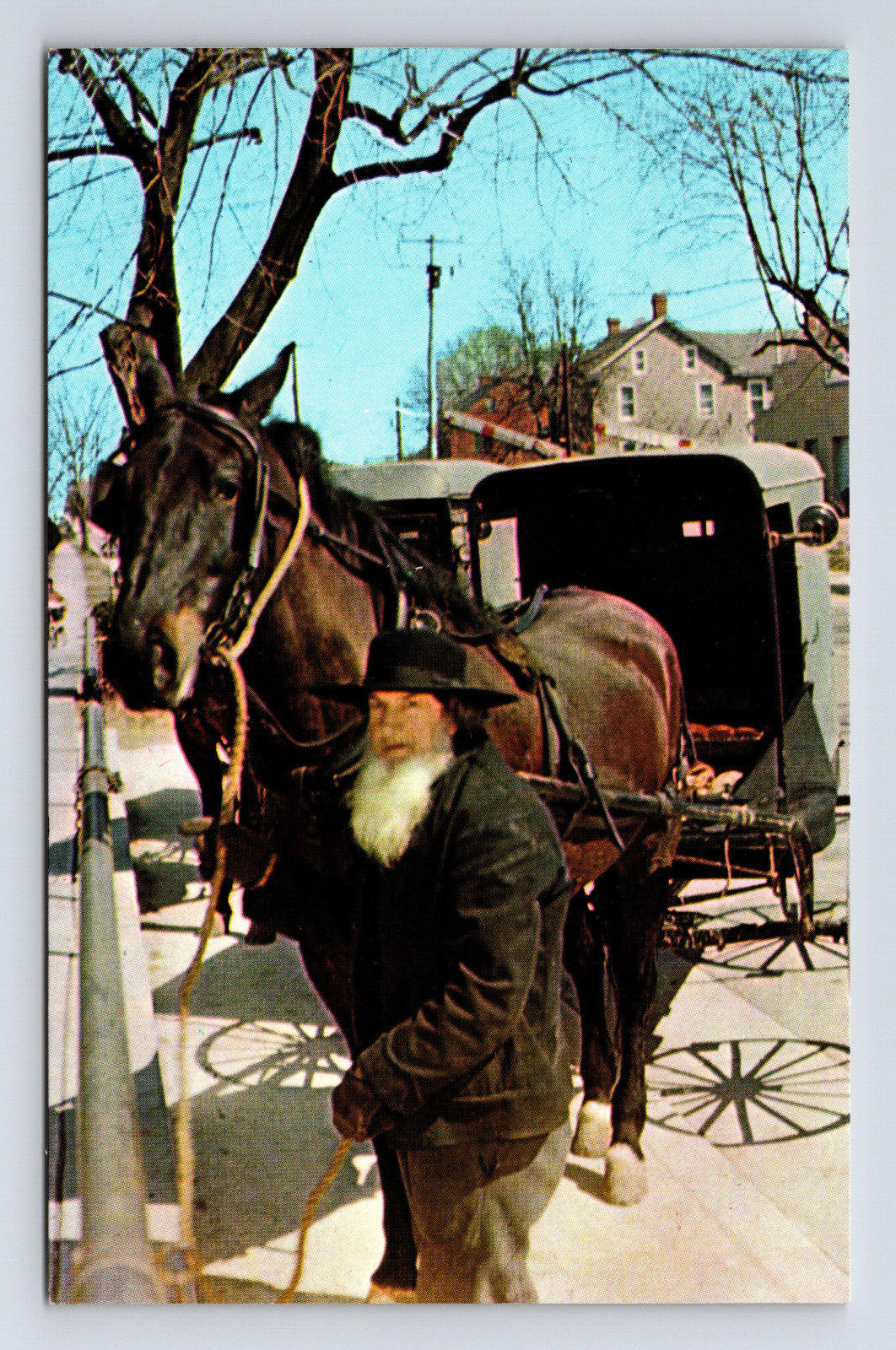 One of the Ohio Amish Man Horse Buggy Beard OH Postcard
