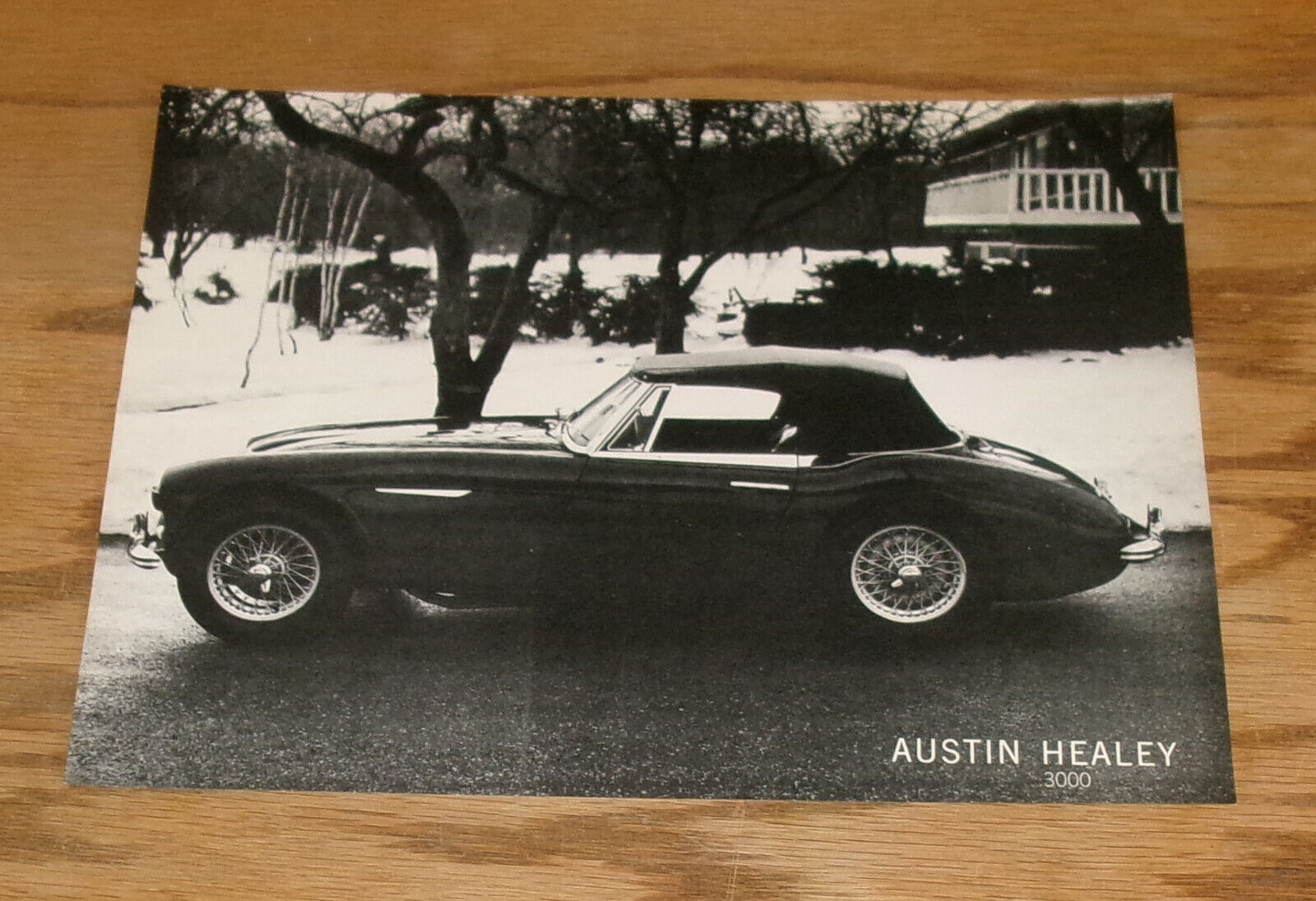 Original 1964 Austin Healey 3000 Mark III Convertible Sales Sheet Brochure 64