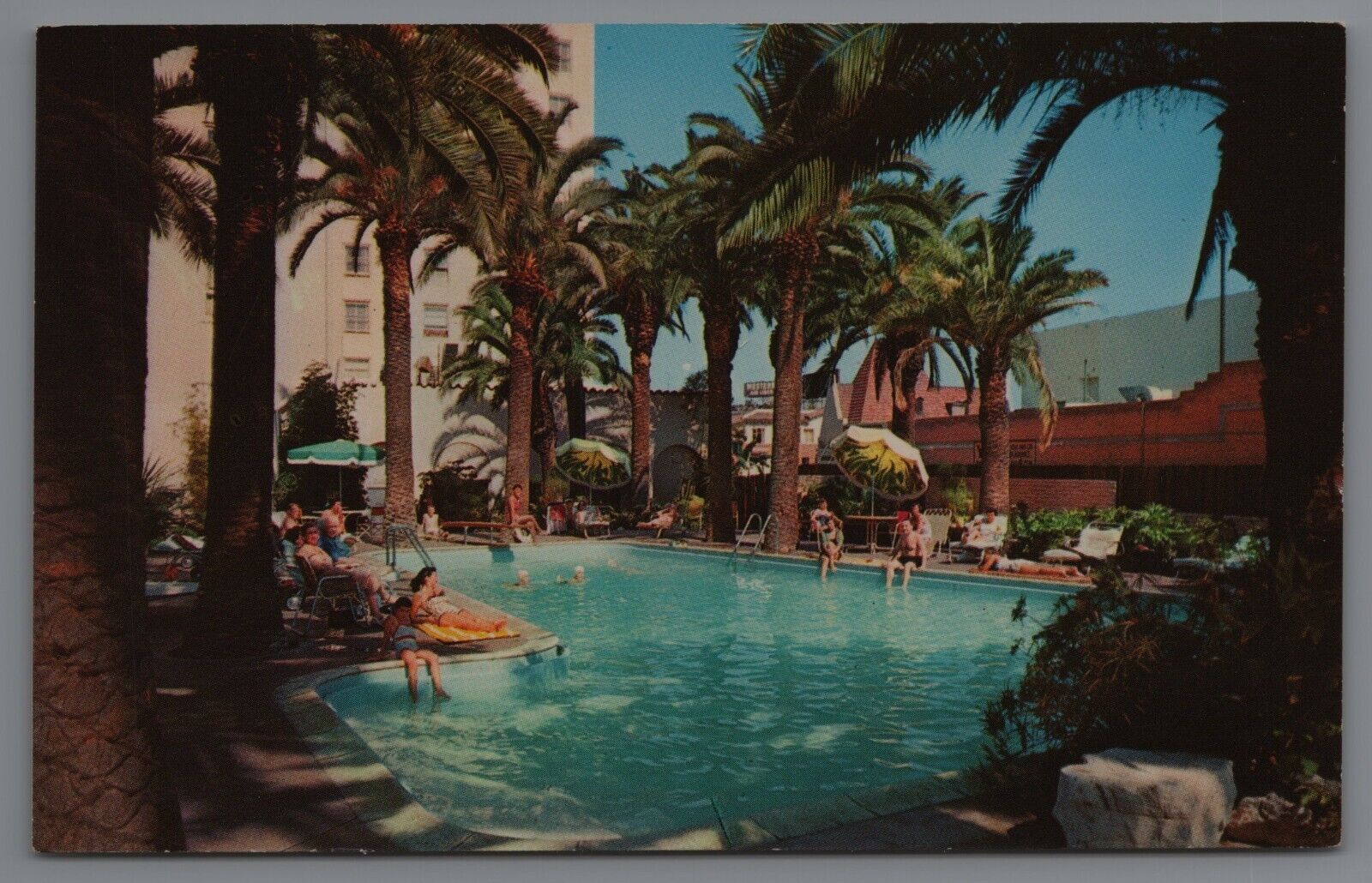Hollywood Plaza HOTEL CA Pool postcard A7