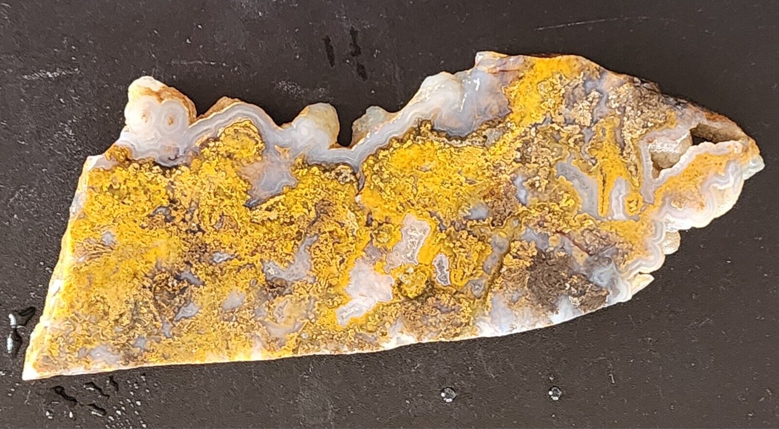 Yellow Moss Agate Lapidary Slab