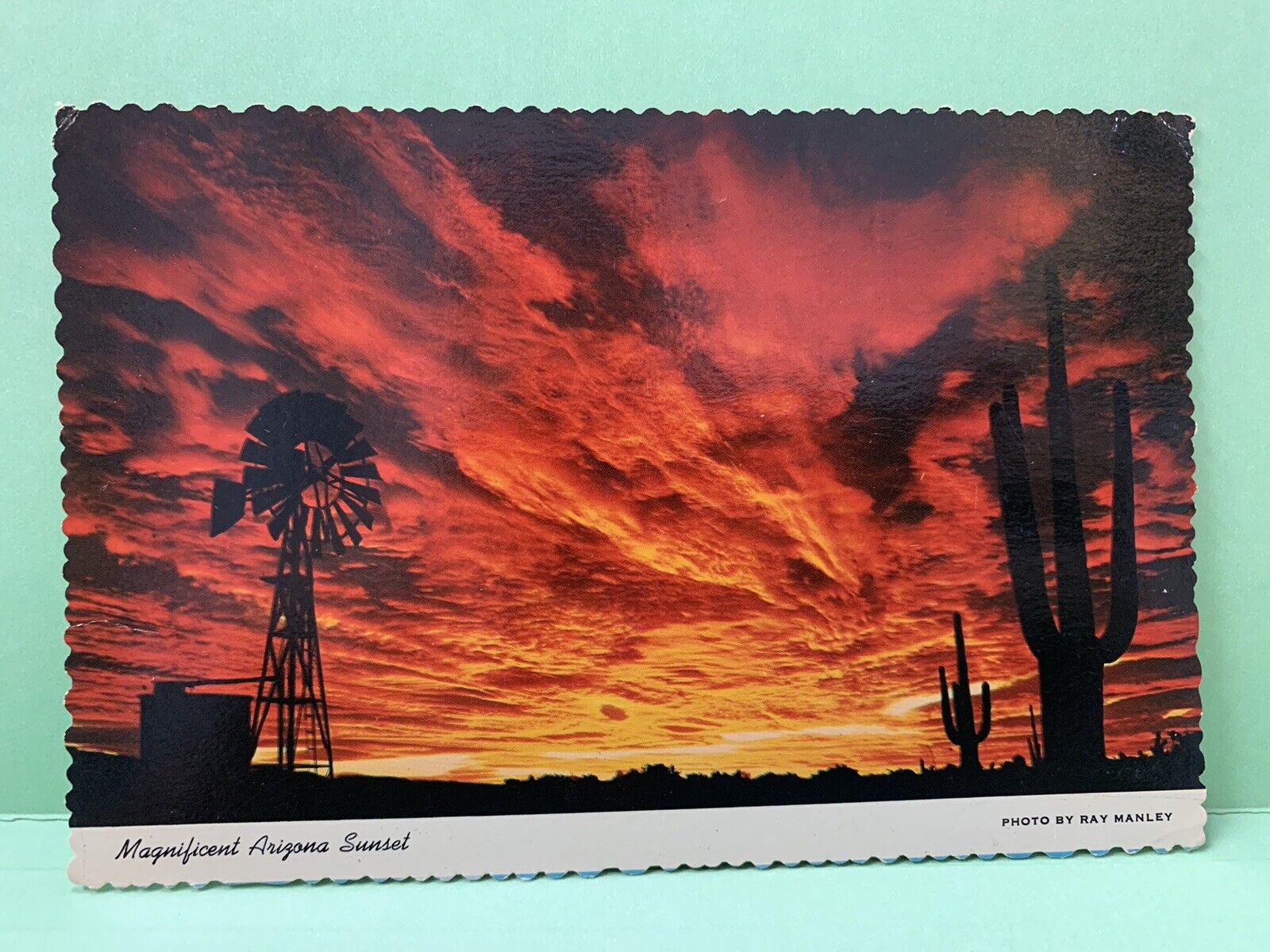 Magnificent Arizona Sunset Vintage Postcard 