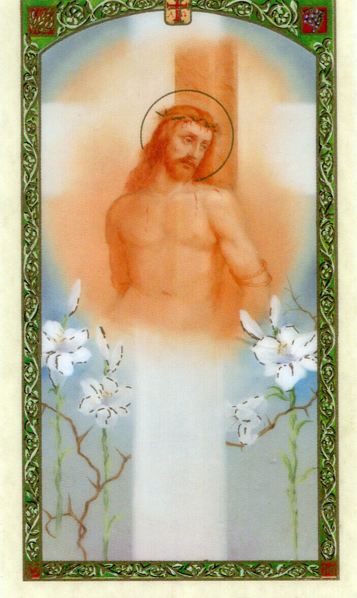 Passion of Christ N - Laminated Holy Cards 25 CARDS