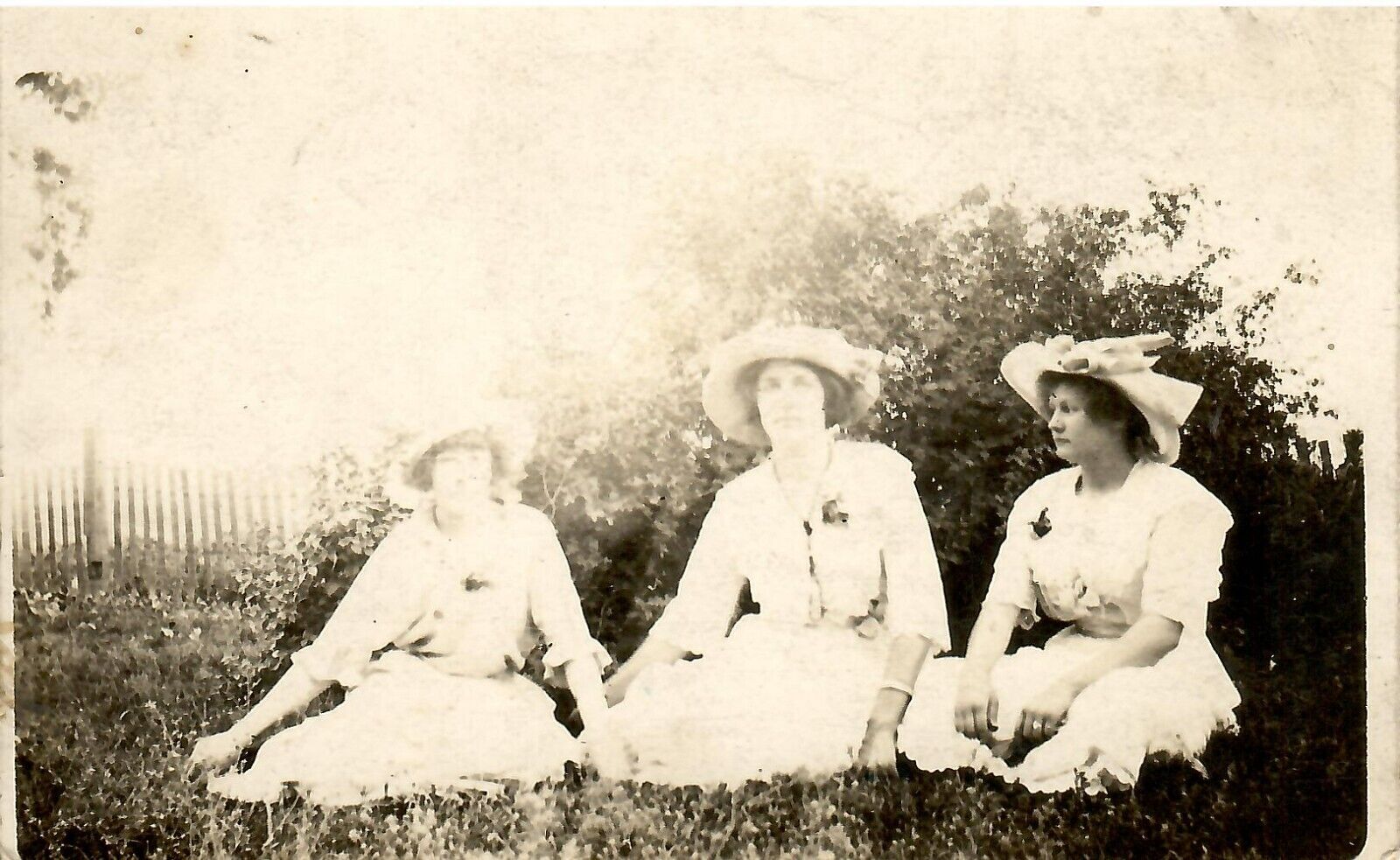 1900\'s Original RPPC Postcard ~ Three Sweet Females Enjoying The Outdoors