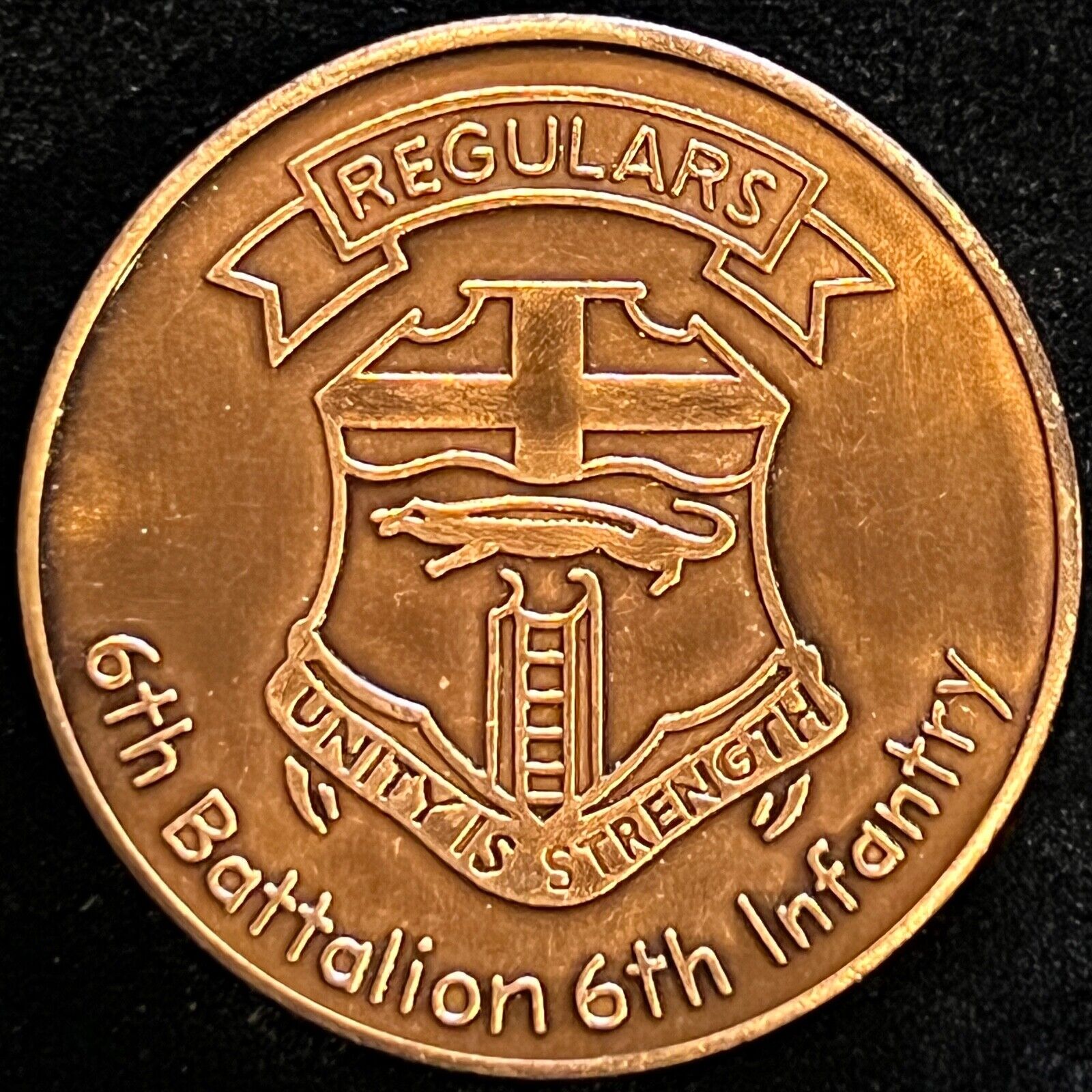 6th Battalion 6th Infantry Fightin' Regulars Vintage Challenge Coin