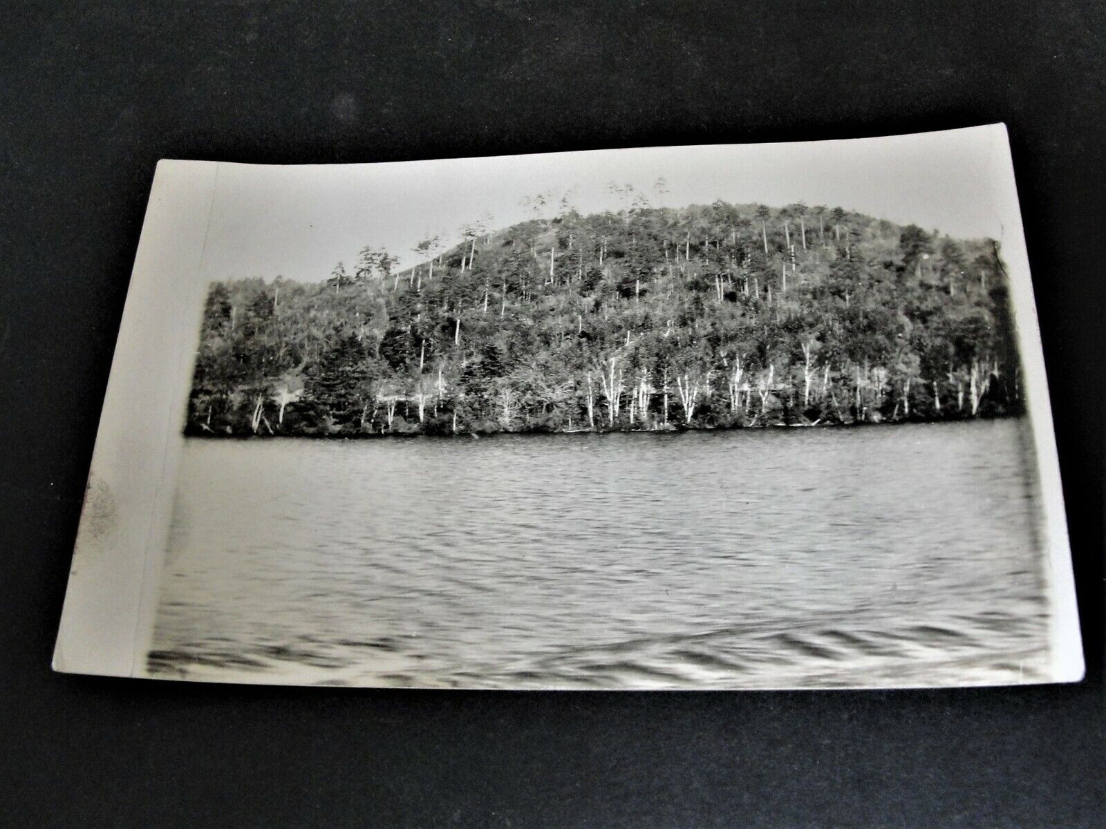 View of Trees by the River - Real Photo Postcard -Stamp Box- AZO (1904-1918).   