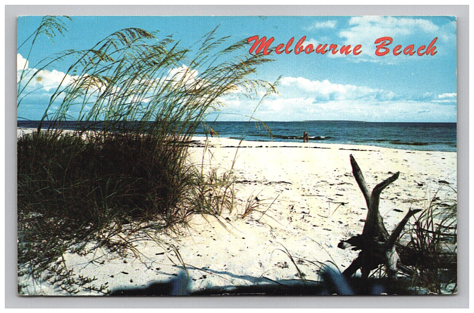 Postcard 1975 FL Melbourne Beach People Sand Grass Scenic Ocean View Florida