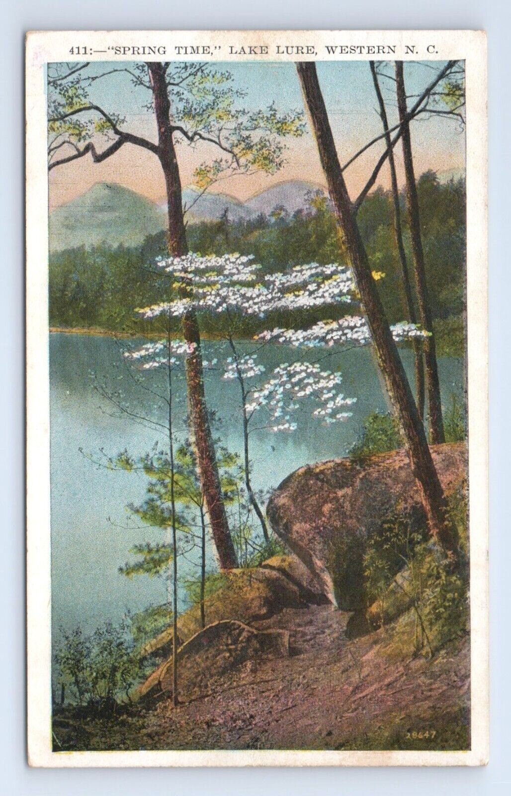 Lake Lure Western North Carolina Spring Time Flower Trees Postcard VTG NC