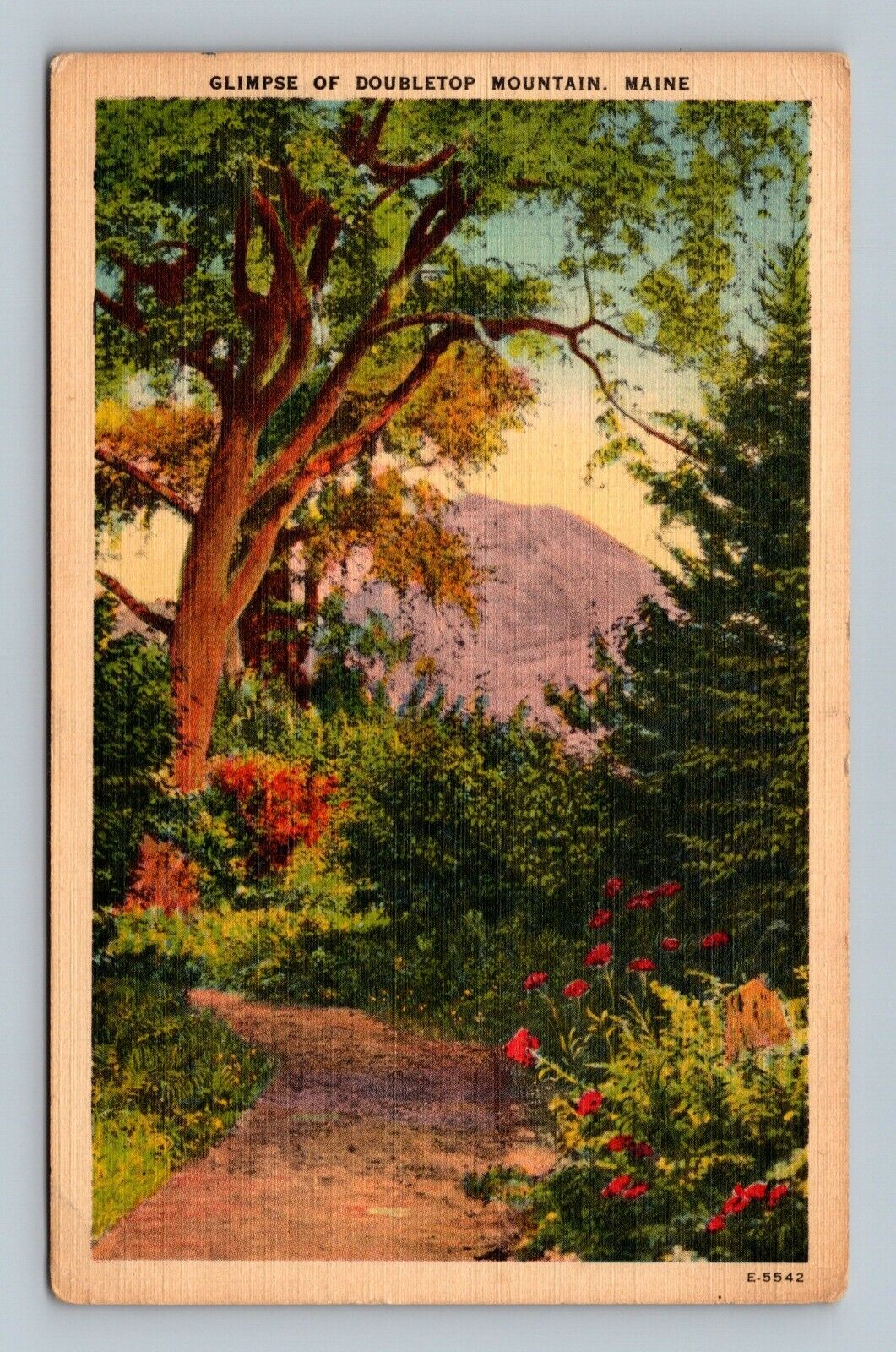  Postcard Glimpse Of Doubletop Mountain Maine 