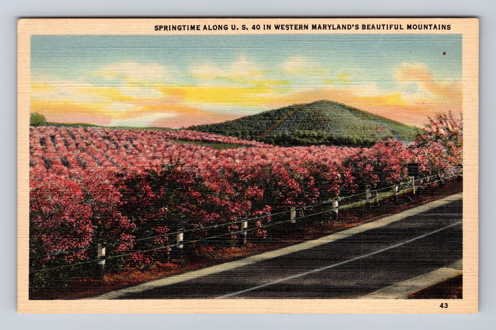 Western Maryland Mountains, Springtime Along U.S. Route 40, Vintage Postcard
