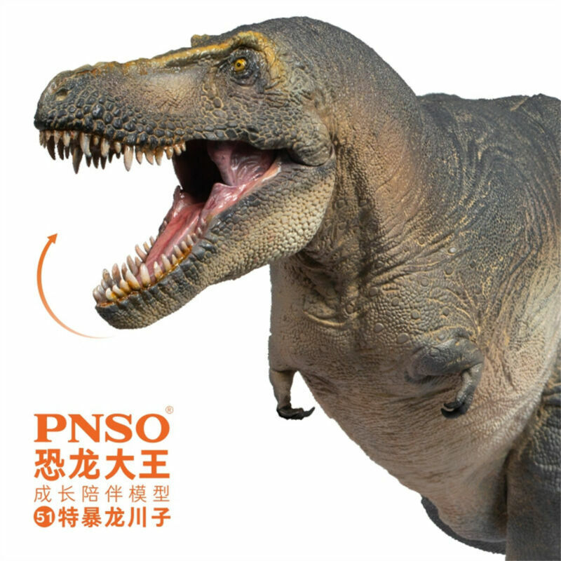 PNSO Tarbosaurus Chuanzi Model Tyrannosauridae Dinosaur Tyrannosaurus Animal Toy