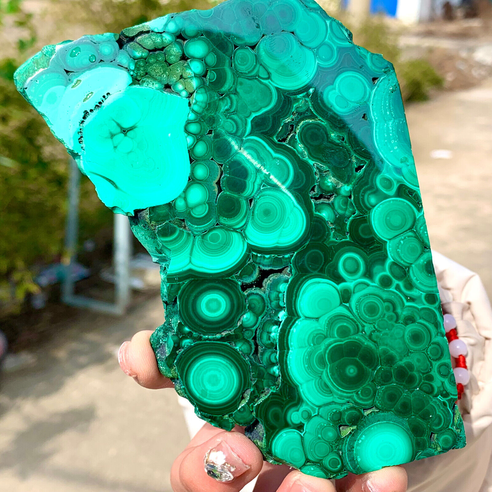 245G  Natural glossy Malachite transparent cluster rough mineral sample